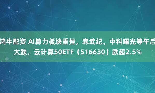 鸿牛配资 AI算力板块重挫，寒武纪、中科曙光等午后大跌，云计算50ETF（516630）跌超2.5%