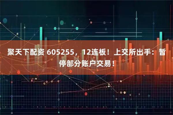 聚天下配资 605255,12连板!上交所出手:暂停部分账户交易!