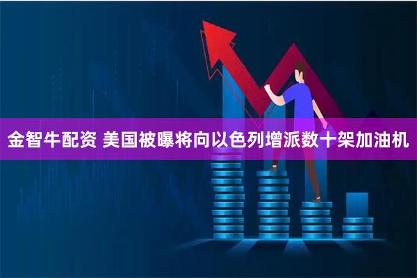 金智牛配资 美国被曝将向以色列增派数十架加油机